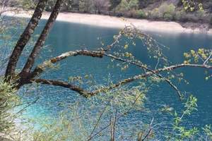 春季九寨旅游价格，长沙到重庆、九寨沟、牟尼沟4飞5日游