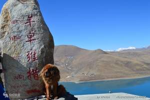 天津到西藏旅游、天津到拉萨旅游、林芝、羊湖、纳木措双飞八日游