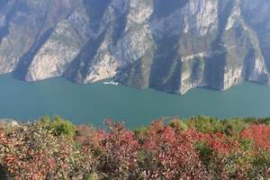石家庄到三峡游轮 长江三峡涉外豪华游轮宜昌到重庆上水双卧七日