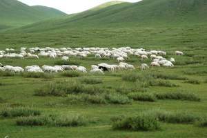去内蒙旅游价格,长沙到希拉穆仁草原、库布其沙漠双飞4日游