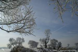 长沙到雪乡旅游，东北旅游，长沙到东升雪乡、长白山、雾凇岛9日