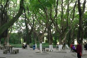 武汉厦门鼓浪屿自助双飞四日游