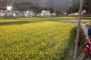 什么时候去婺源旅游，长沙到江西旅游，南昌、婺源动车往返四日游