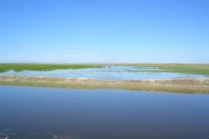 武汉到东北旅游线路专利价格红海滩 东北四省秋色专列17日游