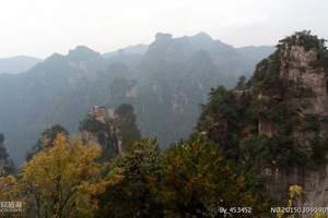武汉到张家界旅游 黄龙洞、天门山玻璃栈道，天门洞三日游