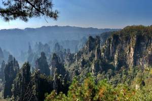 武汉到张家界旅游 穿越湘土五日奇迹 凤凰古城邂逅张家界探秘
