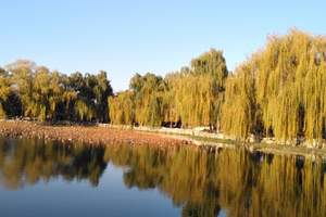 老年北京旅游，长沙到玩转天安门、故宫，北京纯玩单飞单卧6日游