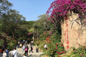 武汉到厦门武夷山旅游团报价 武汉到厦门旅游费用 厦门五日游