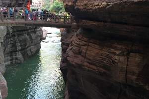 4月武汉到河南看牡丹花旅游团 来了才知道什么叫春满大地 4天