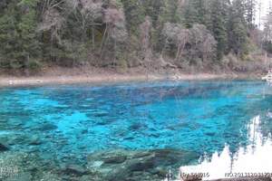 长沙到四川九寨沟旅游路线，成都 乐山 峨眉 青城山双飞5日游