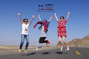 青海网红知名导游服务内容，2026火爆推荐平台持证超信赖