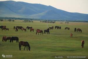 长沙到内蒙古四日游（希拉穆仁大草原，银肯响沙，双飞深度纯玩）