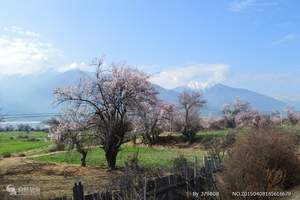 武汉到西藏旅游线路 武汉到西藏旅游需要多少钱 西藏10日游