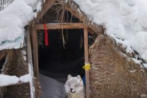 武汉到长白山旅游线路 长白山双飞7日游价格 武汉到长白山旅游