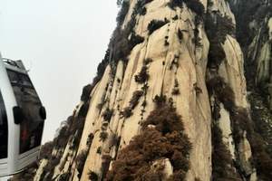 武汉到西安旅游报价|西安不仅霸气还有一种江南的温柔|5日游