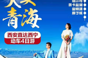 西安到青海湖塔尔寺茶卡盐湖动车4日纯玩游_青海湖旅游线路报价