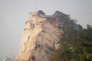 贴心爸妈游丨淄博去苏杭、上海、扬州五日夕阳老年团(送大闸蟹)