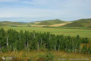 长沙到内蒙古旅游,内蒙草原、沙漠、市内双飞四日游大特价