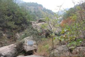 武汉到韶山旅游报价 武汉到韶山两日游（韶山红色之旅）